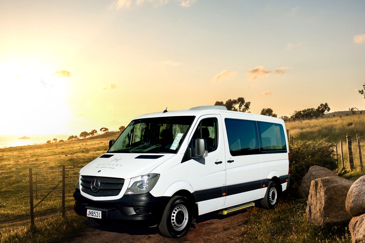 12 seat minibus