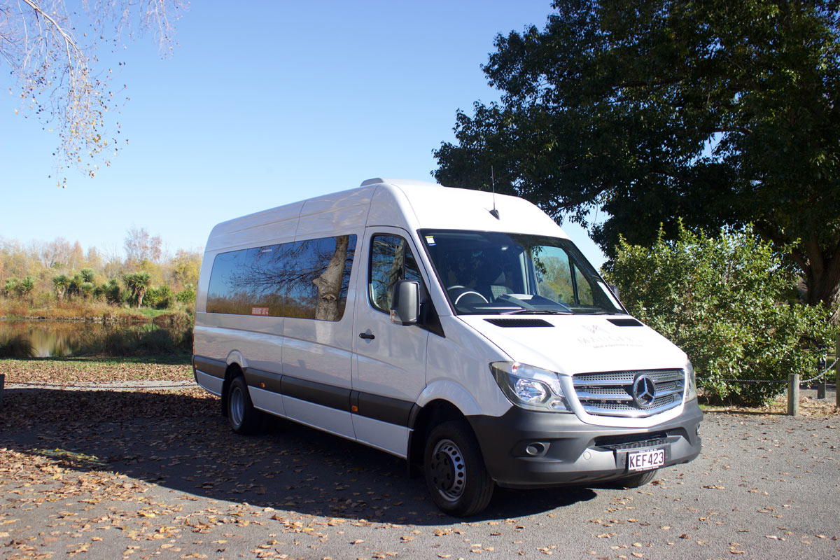 17 seater van