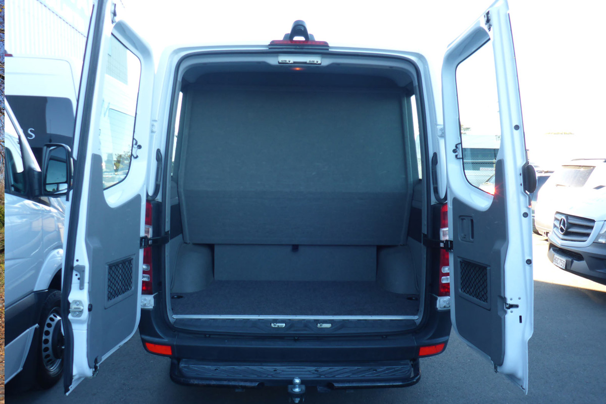 12 Seater Luxury Van - Rear