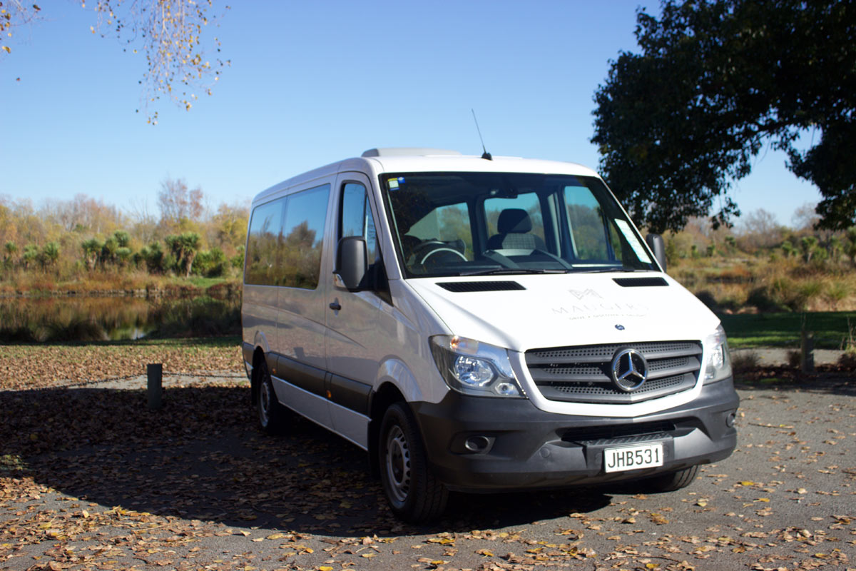 12 Seater Luxury Van - Side